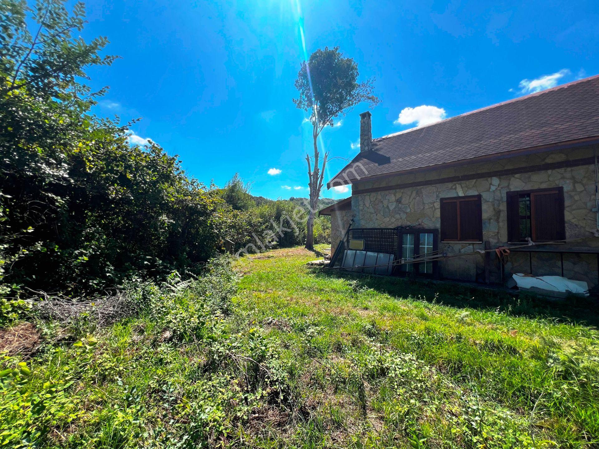 Şile Açmalar Mevkii Denize 3 Km Ağaçları Olan 191m2 Satılık Arsa — fotoğraf 23