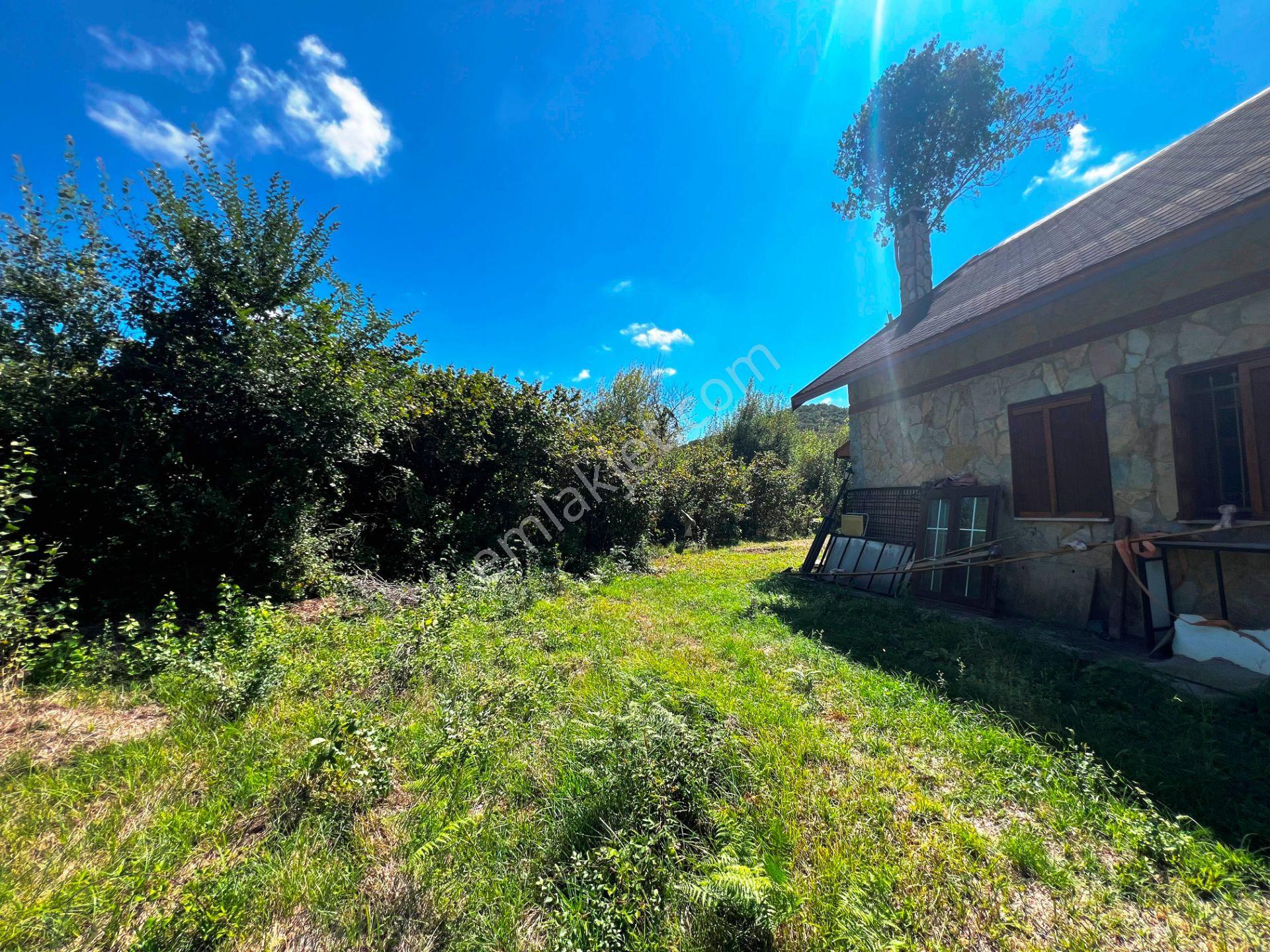 Şile Açmalar Mevkii Denize 3 Km Ağaçları Olan 191m2 Satılık Arsa — fotoğraf 24