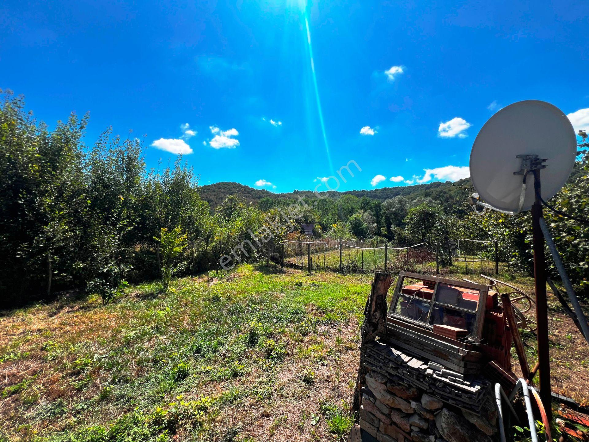 Şile Açmalar Mevkii Denize 3 Km Ağaçları Olan 191m2 Satılık Arsa — fotoğraf 30