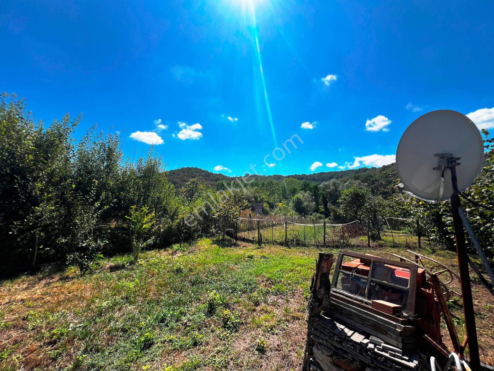 Şile Açmalar Mevkii Denize 3 Km Ağaçları Olan 191m2 Satılık Arsa — fotoğraf 31