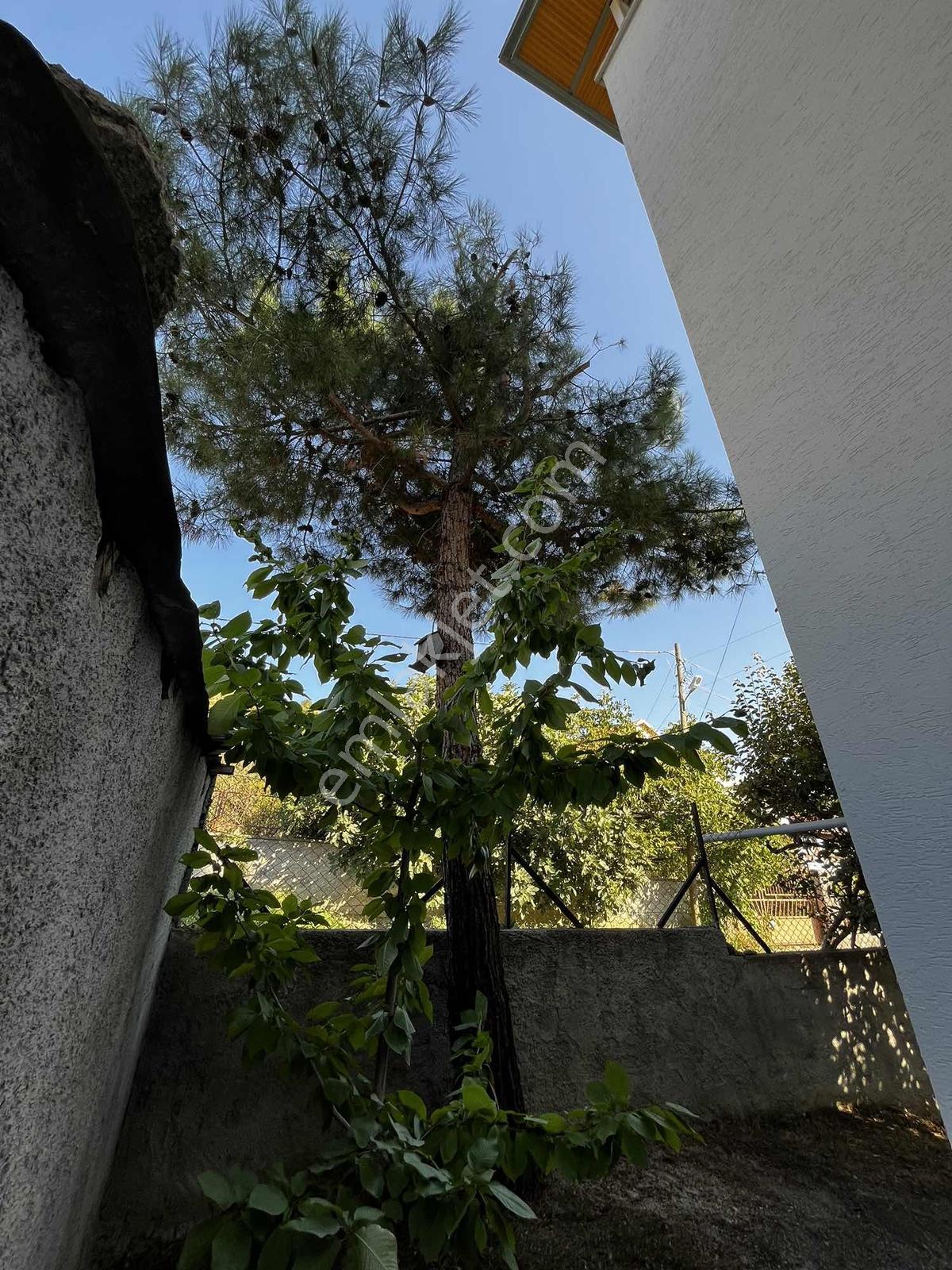 Kalabalık Aileler İçin Uygun 2+1+ 3+1 Yeniköyde — fotoğraf 27