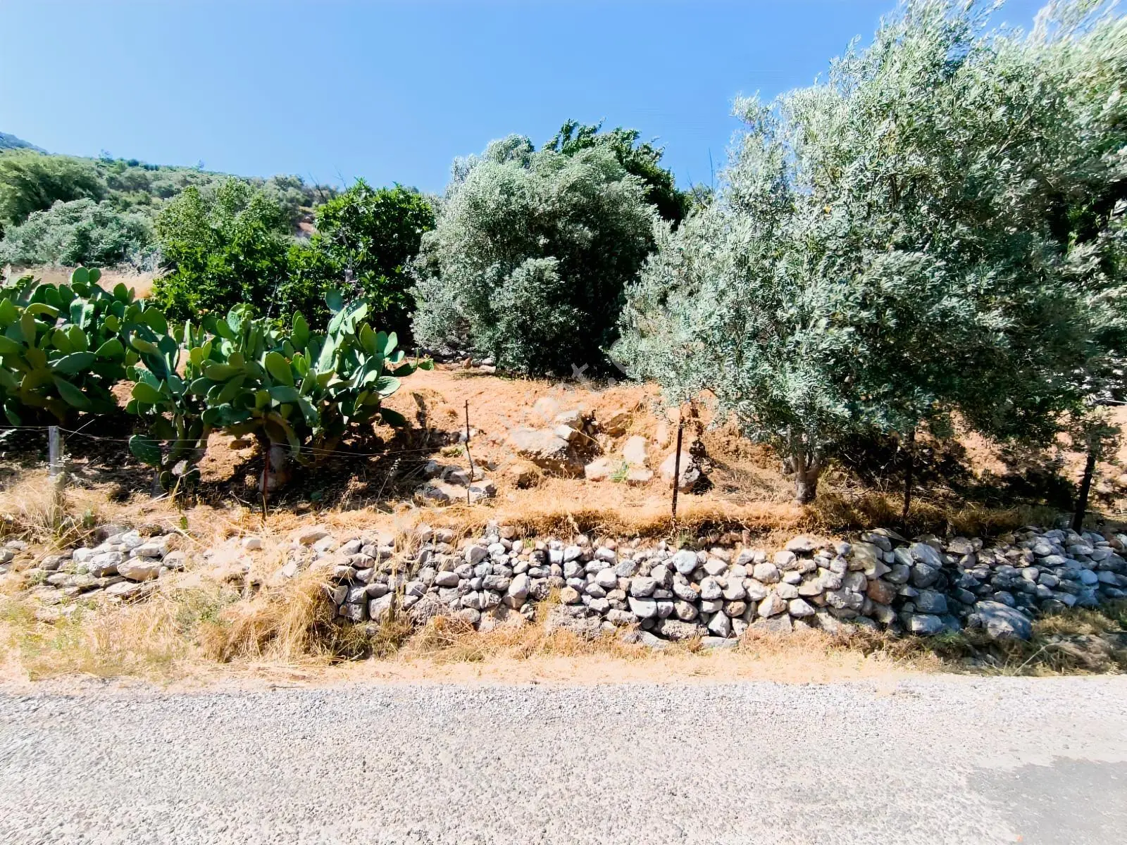 Seydikemer İzzettin Tek Tapu 494 M2 Arazi