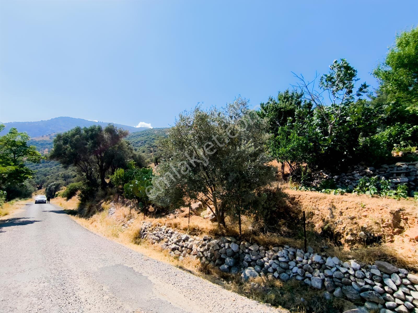 Seydikemer İzzettin Tek Tapu 494 M2 Arazi — fotoğraf 2