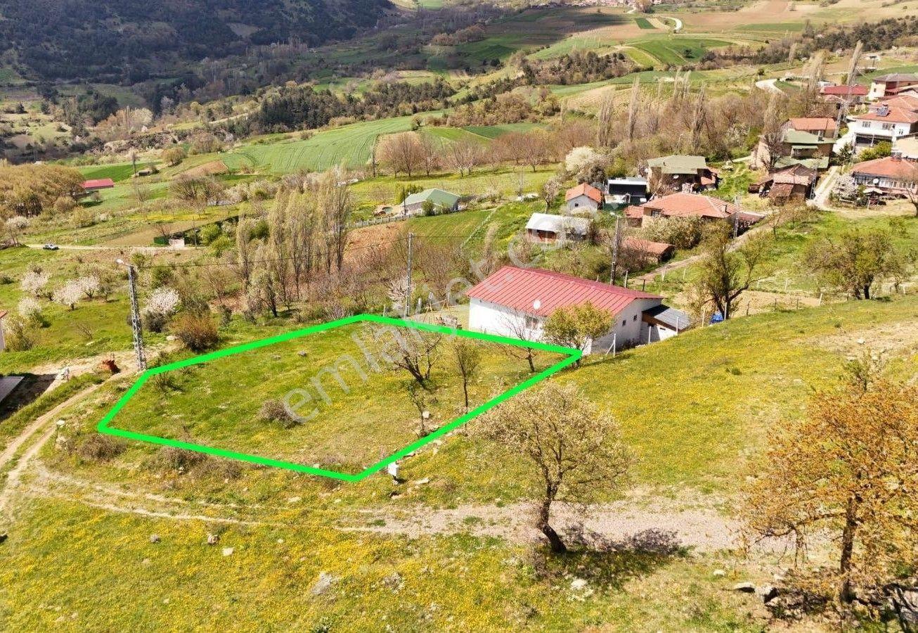 Geyve Karacaören'de Satılık 817 M² Doğa Manzaralı Bahçe — fotoğraf 2