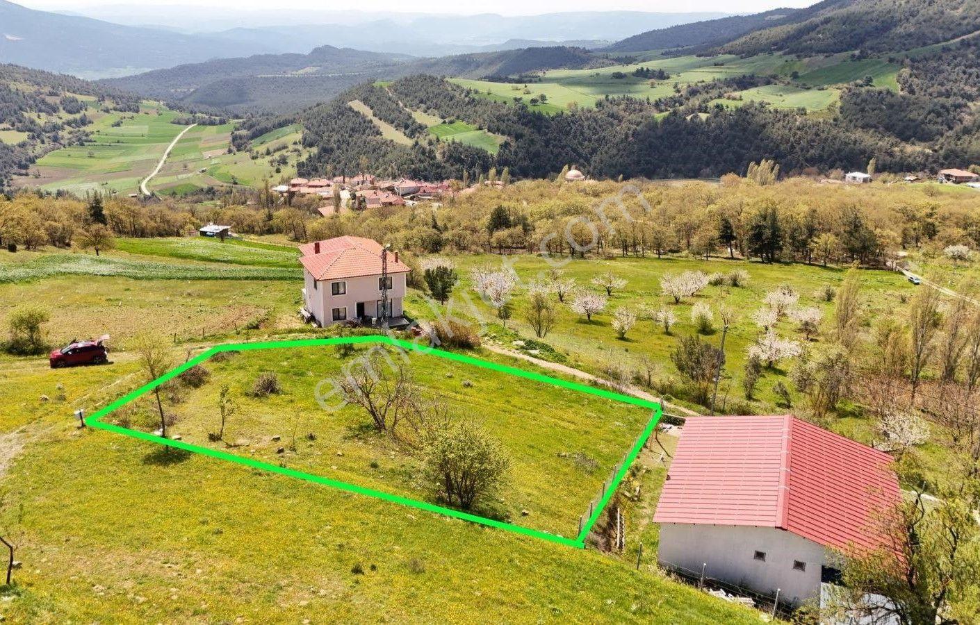 Geyve Karacaören'de Satılık 817 M² Doğa Manzaralı Bahçe — fotoğraf 7