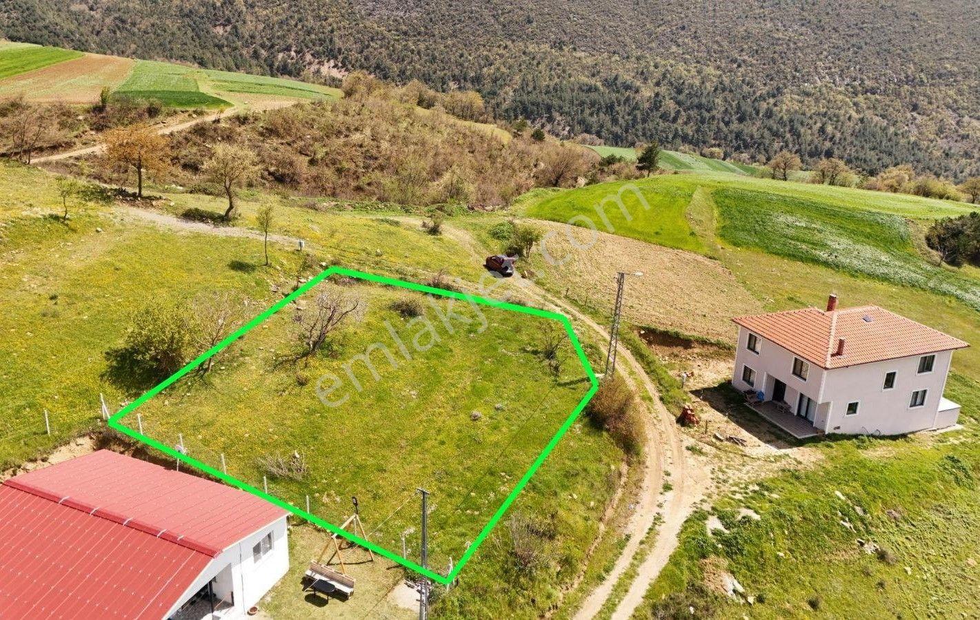 Geyve Karacaören'de Satılık 817 M² Doğa Manzaralı Bahçe — fotoğraf 8
