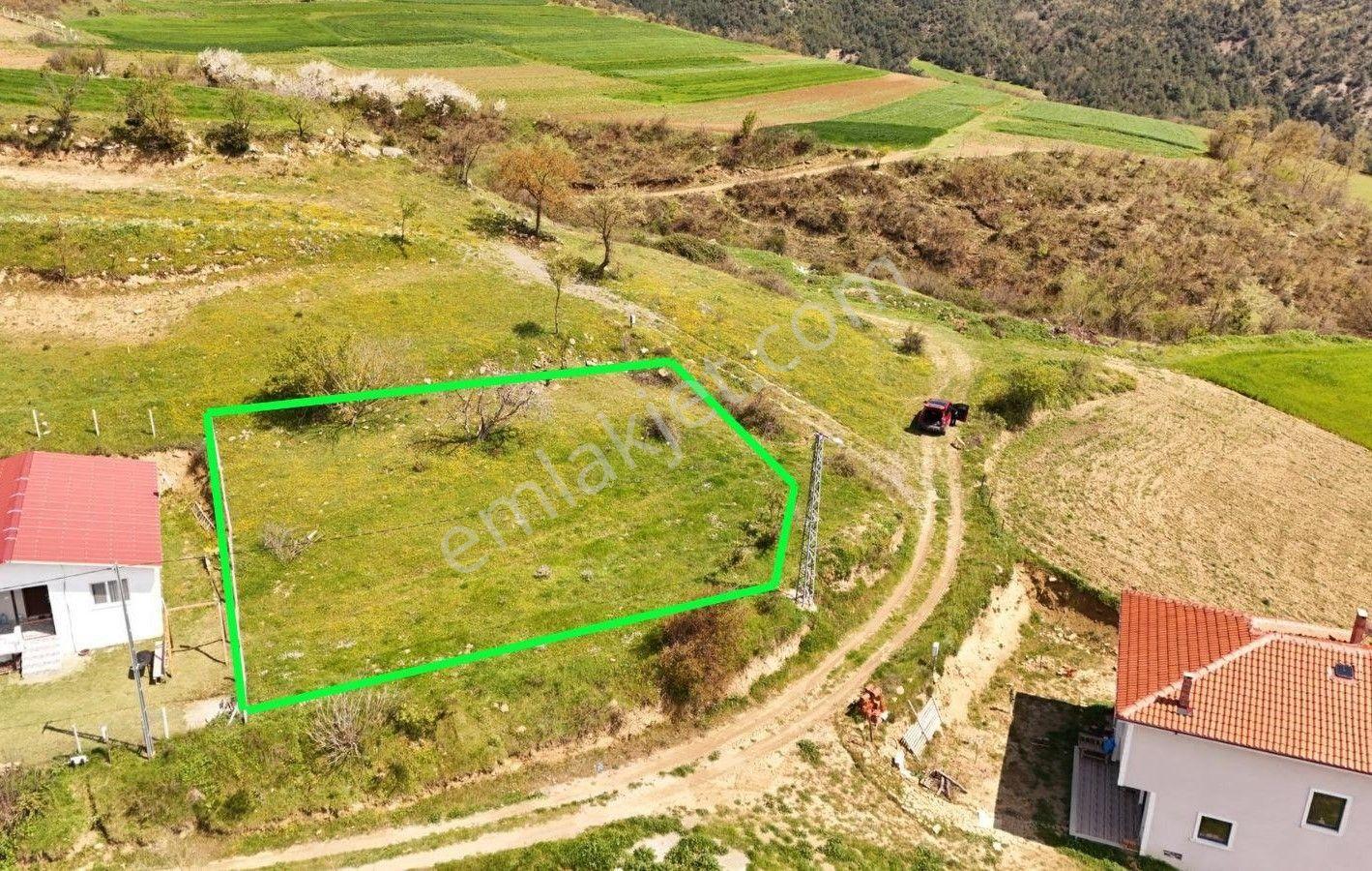 Geyve Karacaören'de Satılık 817 M² Doğa Manzaralı Bahçe — fotoğraf 9