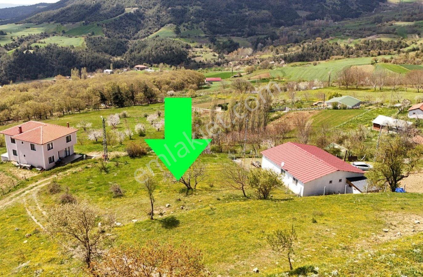 Geyve Karacaören'de Satılık 817 M² Doğa Manzaralı Bahçe — fotoğraf 10
