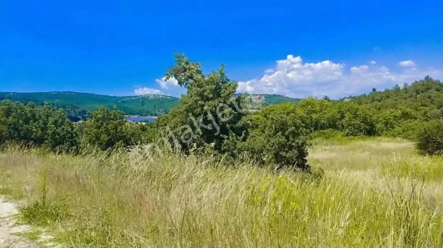Bergama Koyuneli'de Doğa Manzaralı Satılık 1.135 M² Tarla — fotoğraf 2