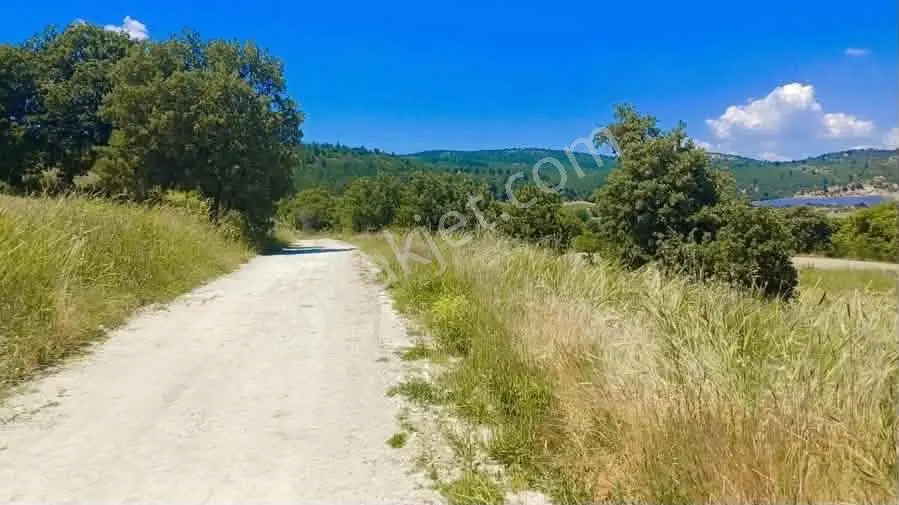 Bergama Koyuneli'de Doğa Manzaralı Satılık 1.135 M² Tarla — fotoğraf 3