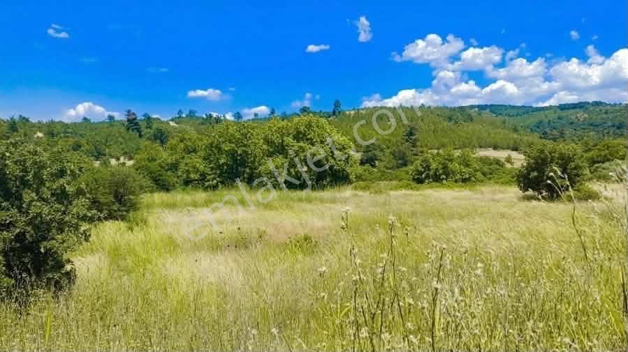 Bergama Koyuneli'de Doğa Manzaralı Satılık 1.135 M² Tarla — fotoğraf 4