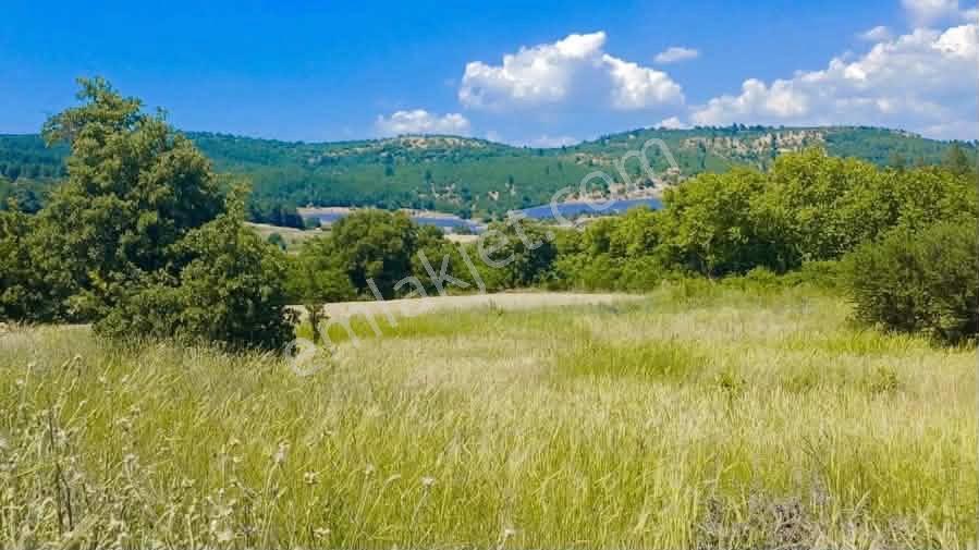 Bergama Koyuneli'de Doğa Manzaralı Satılık 1.135 M² Tarla — fotoğraf 5