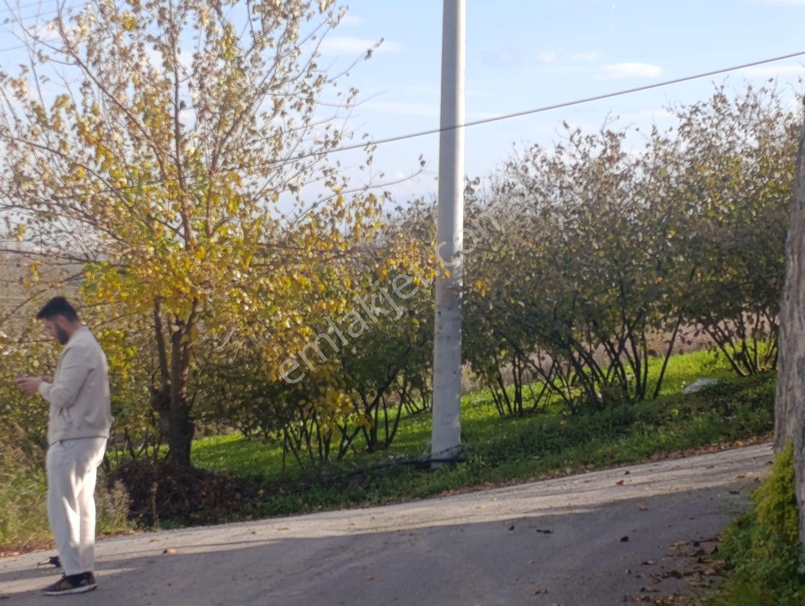 Kuruçeşme De Şehir Manzaralı Villa'lık Arsa — fotoğraf 18