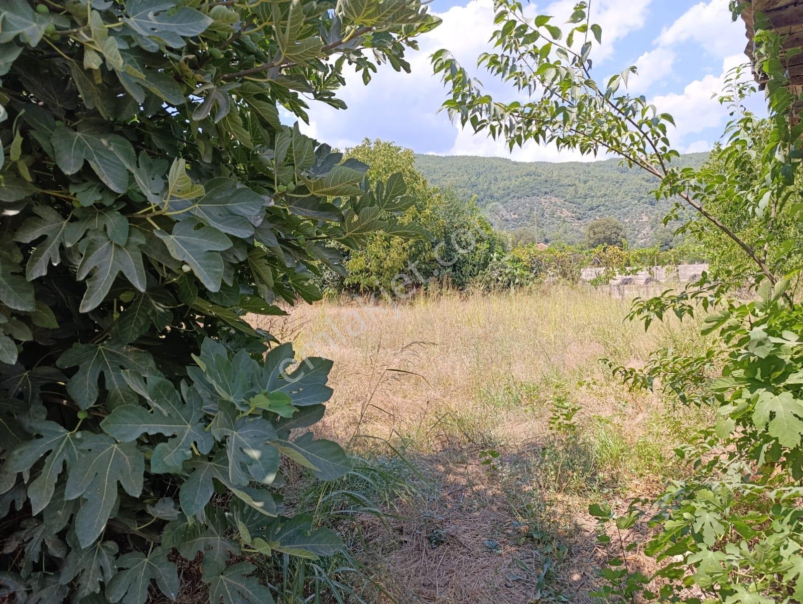 Muğla Ula Elmalı'da Konut Ve Ticari İmarlı Arsa — fotoğraf 2