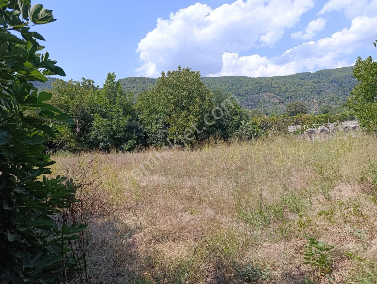 Muğla Ula Elmalı'da Konut Ve Ticari İmarlı Arsa — fotoğraf 3