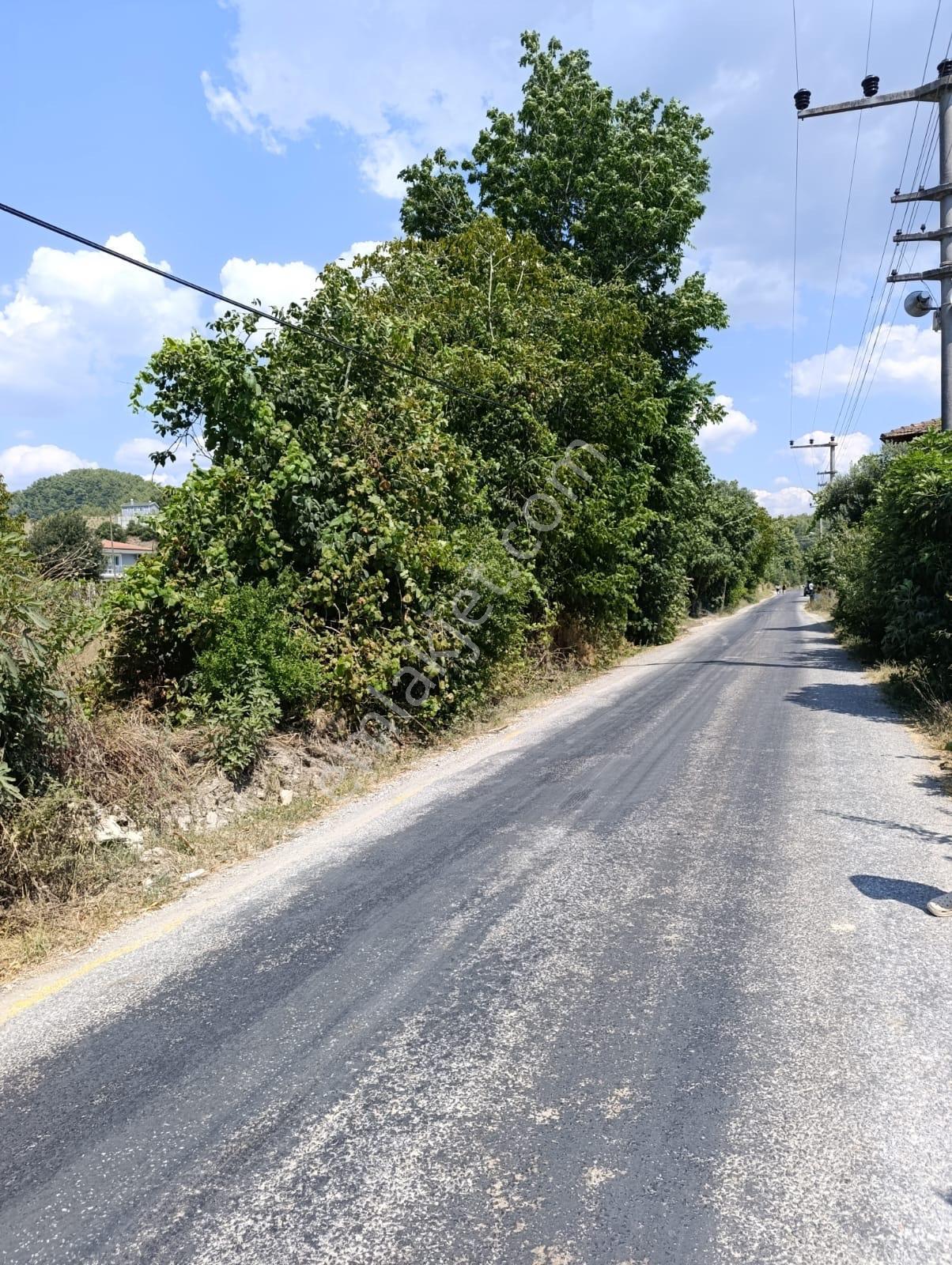 Muğla Ula Elmalı'da Konut Ve Ticari İmarlı Arsa — fotoğraf 4