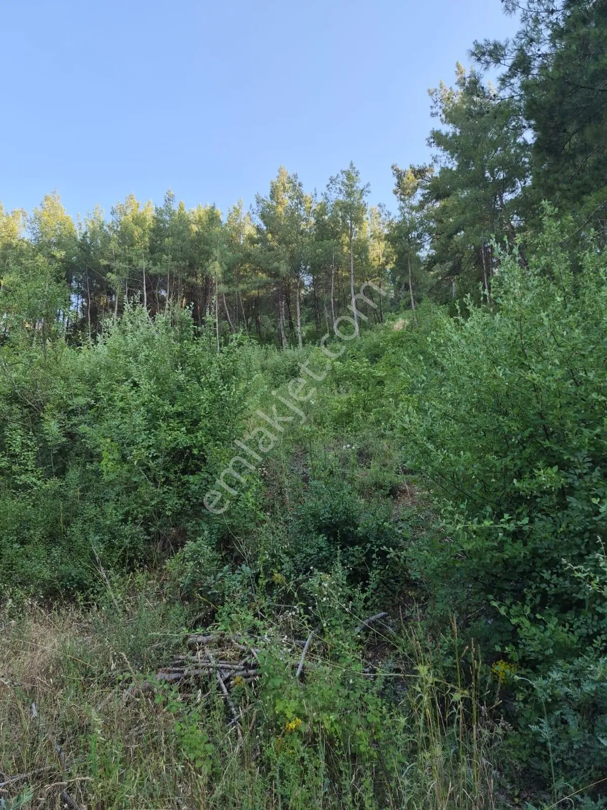 Muğla Menteşe Yenice'de Satılık Tarla — fotoğraf 2