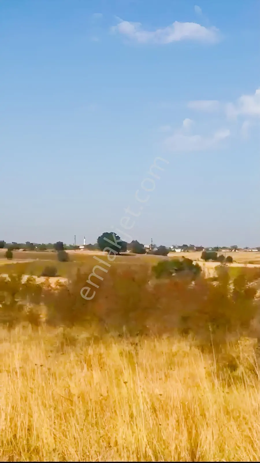 Trakya Bölgesinde Hiç Peşinatsız Toprak Sahibi Olabilirsiniz — fotoğraf 2