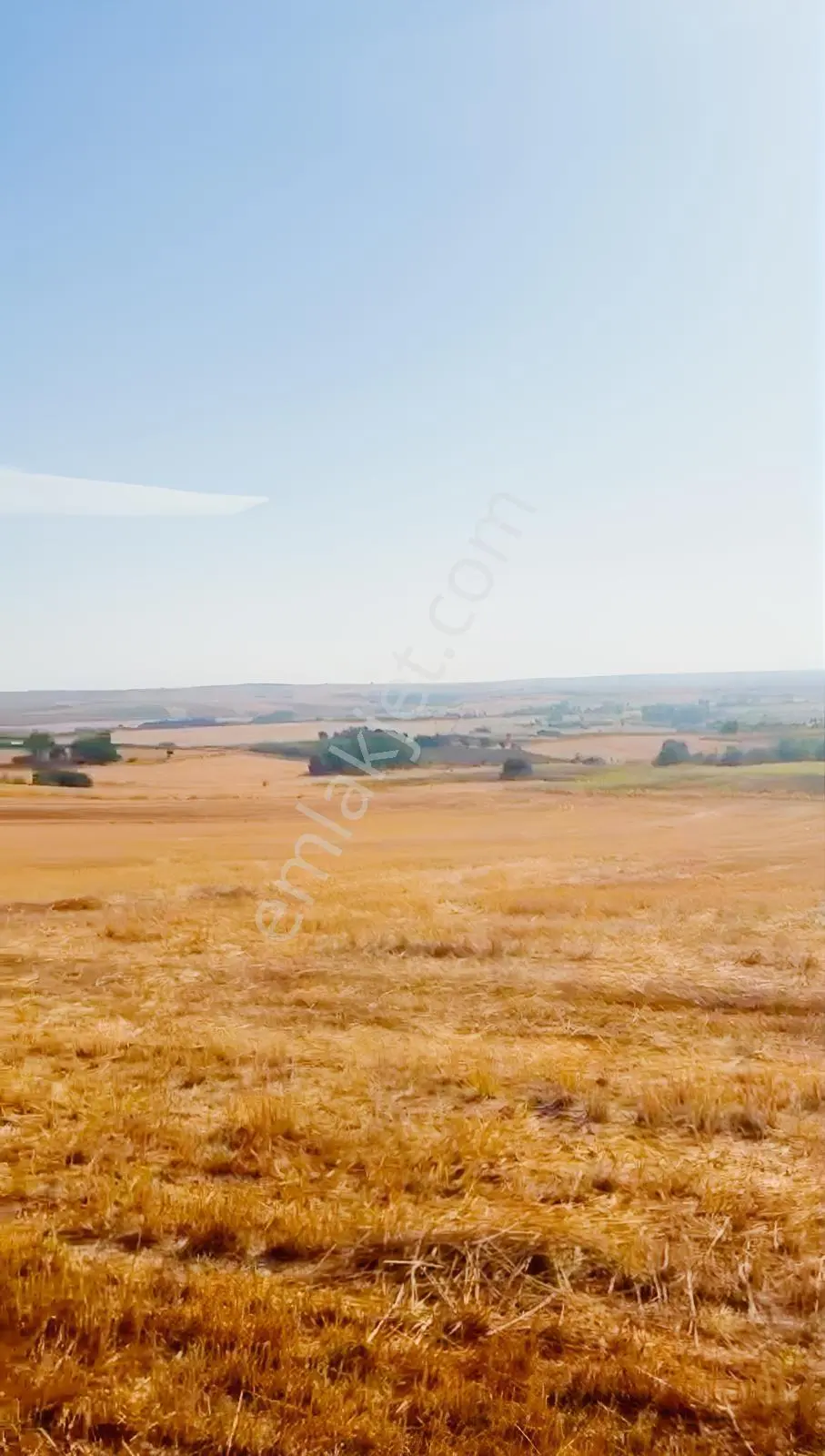 Trakya Bölgesinde Hiç Peşinatsız Toprak Sahibi Olabilirsiniz — fotoğraf 4