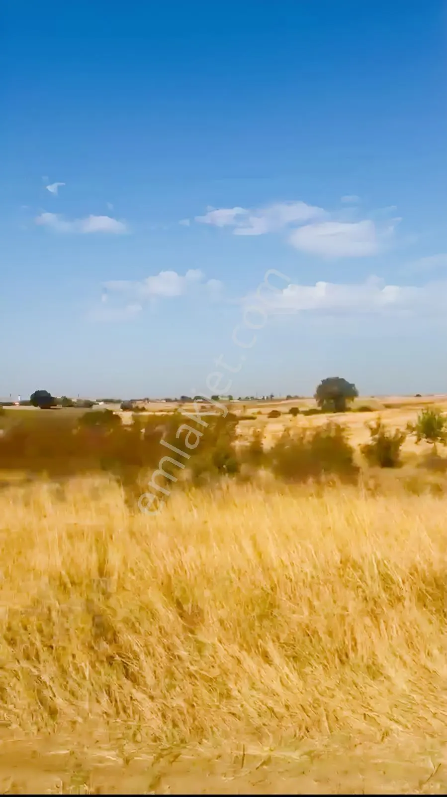 Trakya Bölgesinde Hiç Peşinatsız Toprak Sahibi Olabilirsiniz — fotoğraf 5