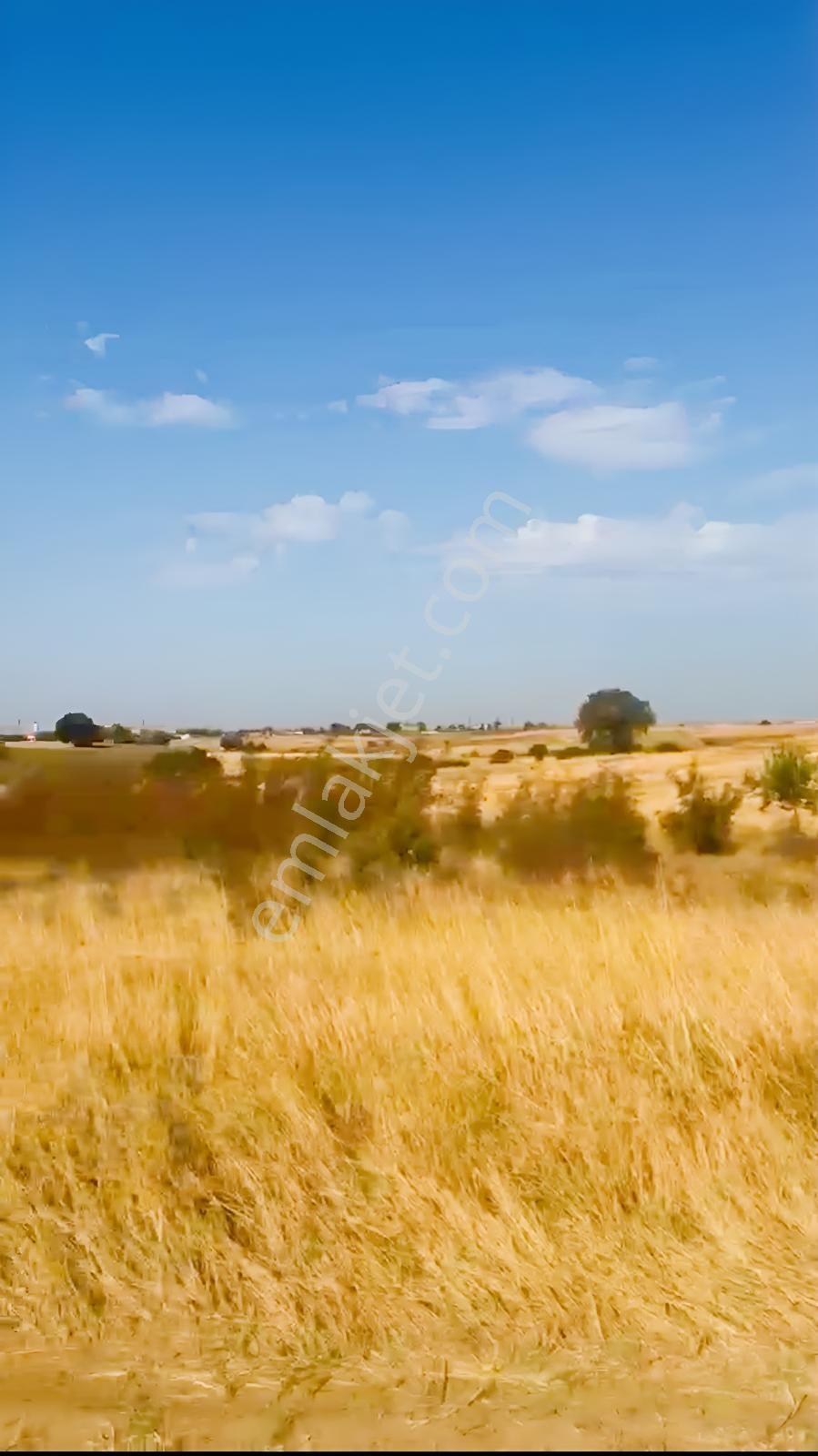 Edirne Uzunköprü'de 566 M² Tarla: Peşinatsız, Elden 10 Taksitle! — fotoğraf 4