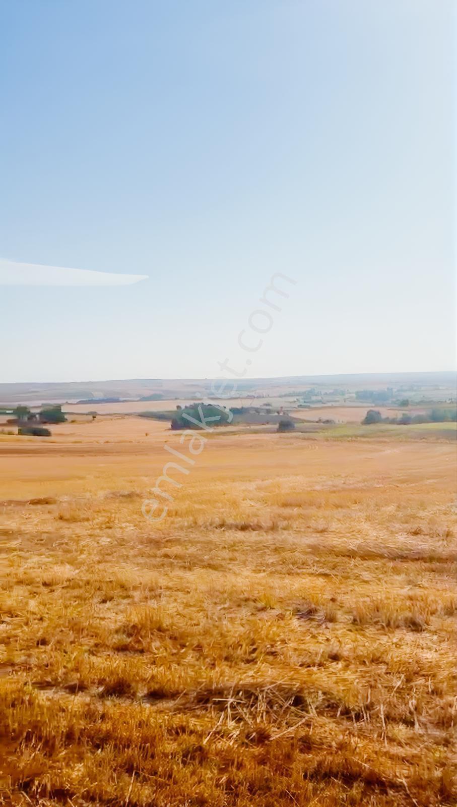 Edirne Uzunköprü'de 566 M² Tarla: Peşinatsız, Elden 10 Taksitle! — fotoğraf 5