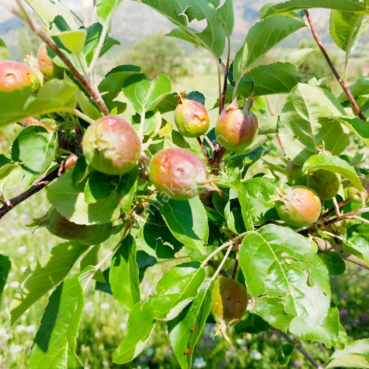 Seydikemer Kayabaşında Fırsat Toprak Yatırırımı — fotoğraf 4