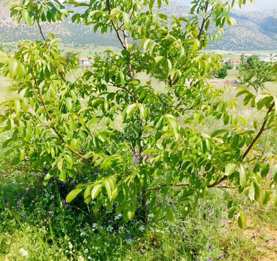 Seydikemer Kayabaşında Fırsat Toprak Yatırırımı — fotoğraf 7