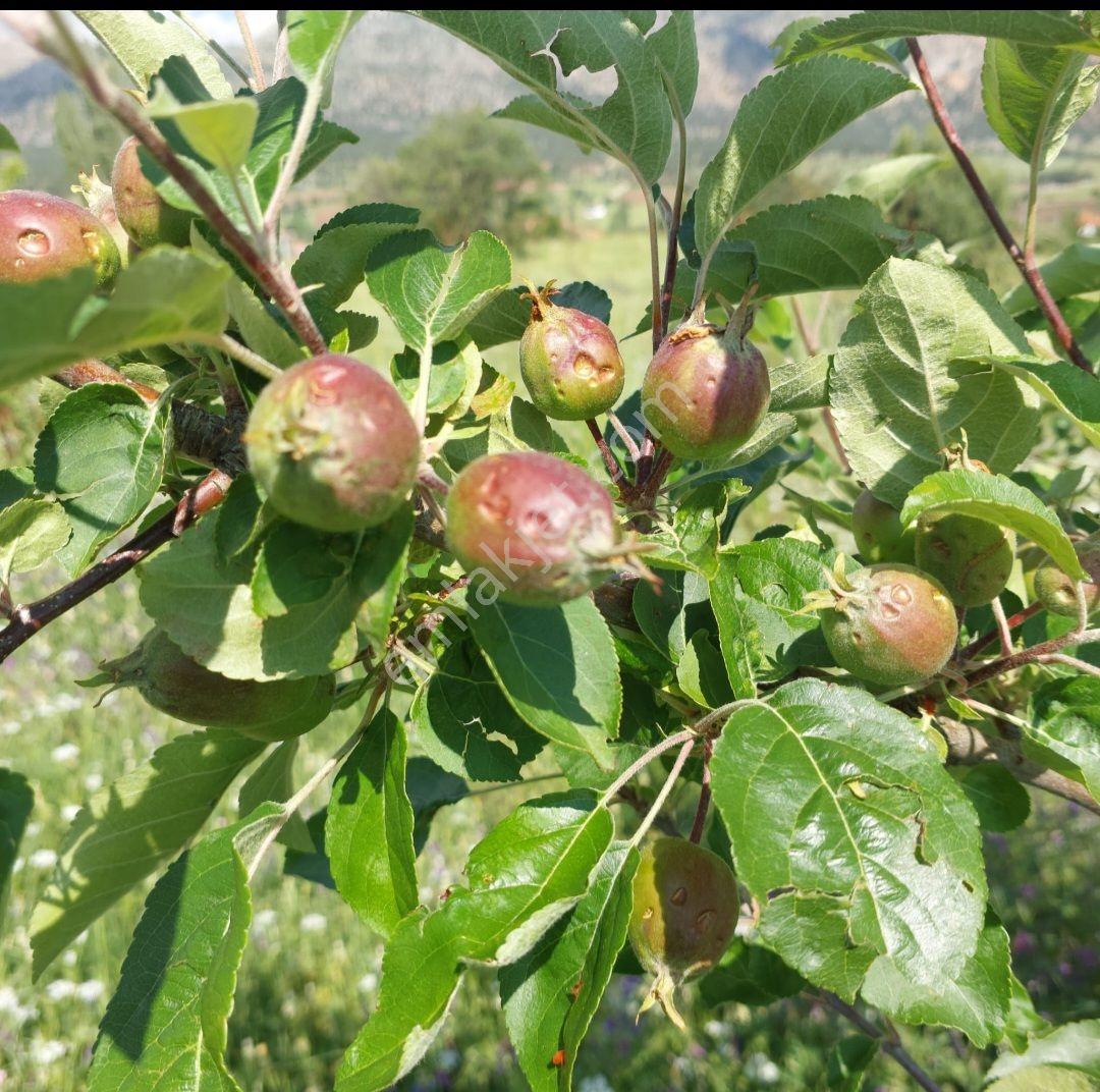 Seydikemer Kayabaşında Fırsat Toprak Yatırırımı — fotoğraf 10