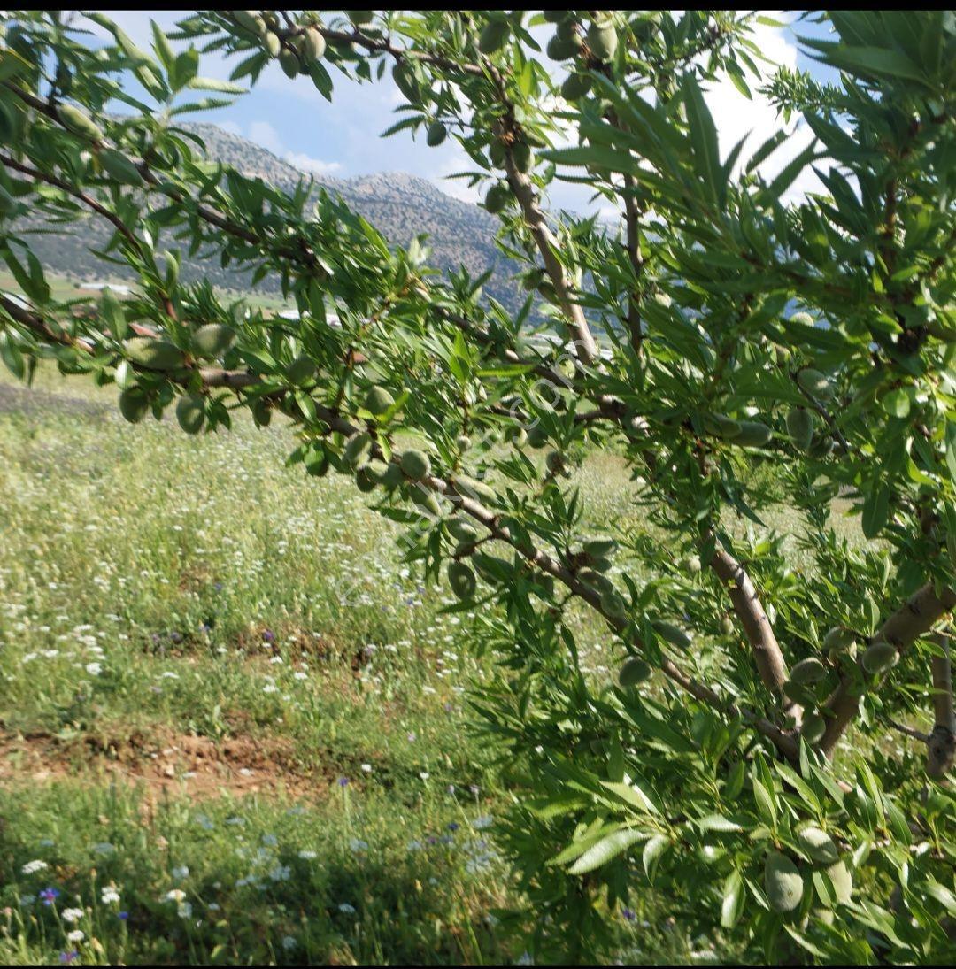 Seydikemer Kayabaşında Fırsat Toprak Yatırırımı — fotoğraf 12