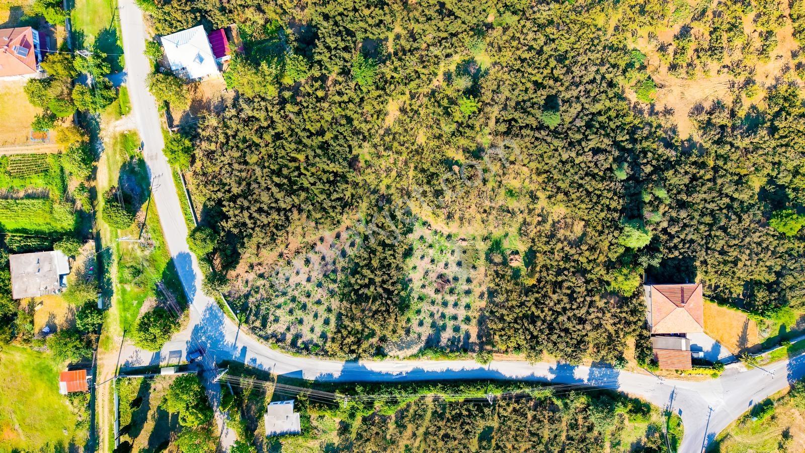 Yatırıma Ve Tam Zamanlı Yaşama Uygun Tek Tapu %40 İmarlı Arsa — fotoğraf 7