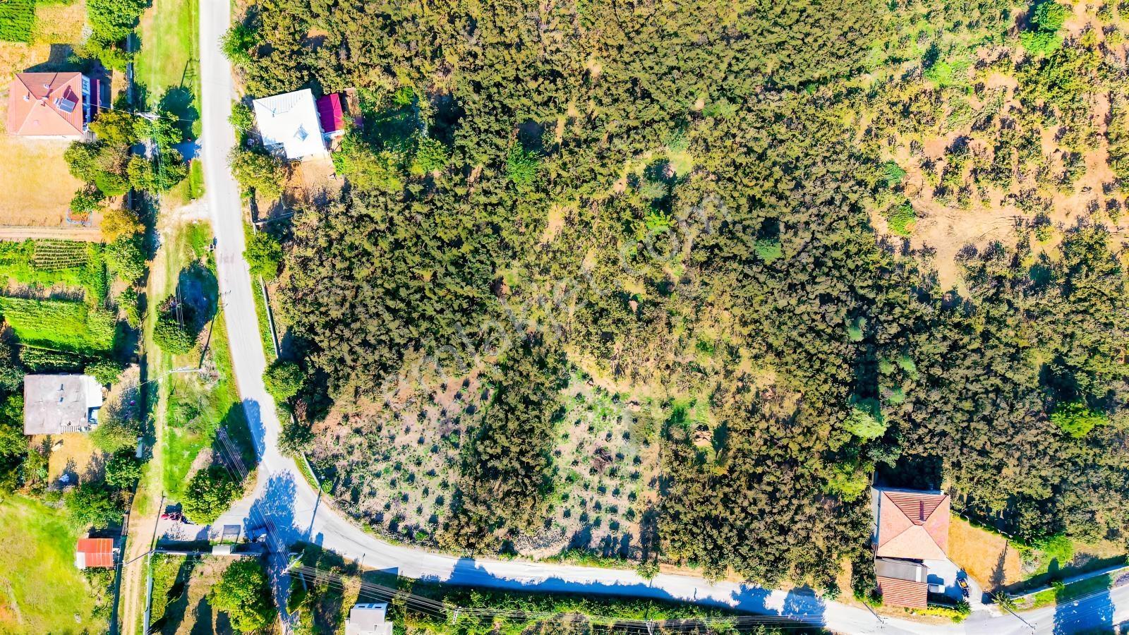 Yatırıma Ve Tam Zamanlı Yaşama Uygun Tek Tapu %40 İmarlı Arsa — fotoğraf 9