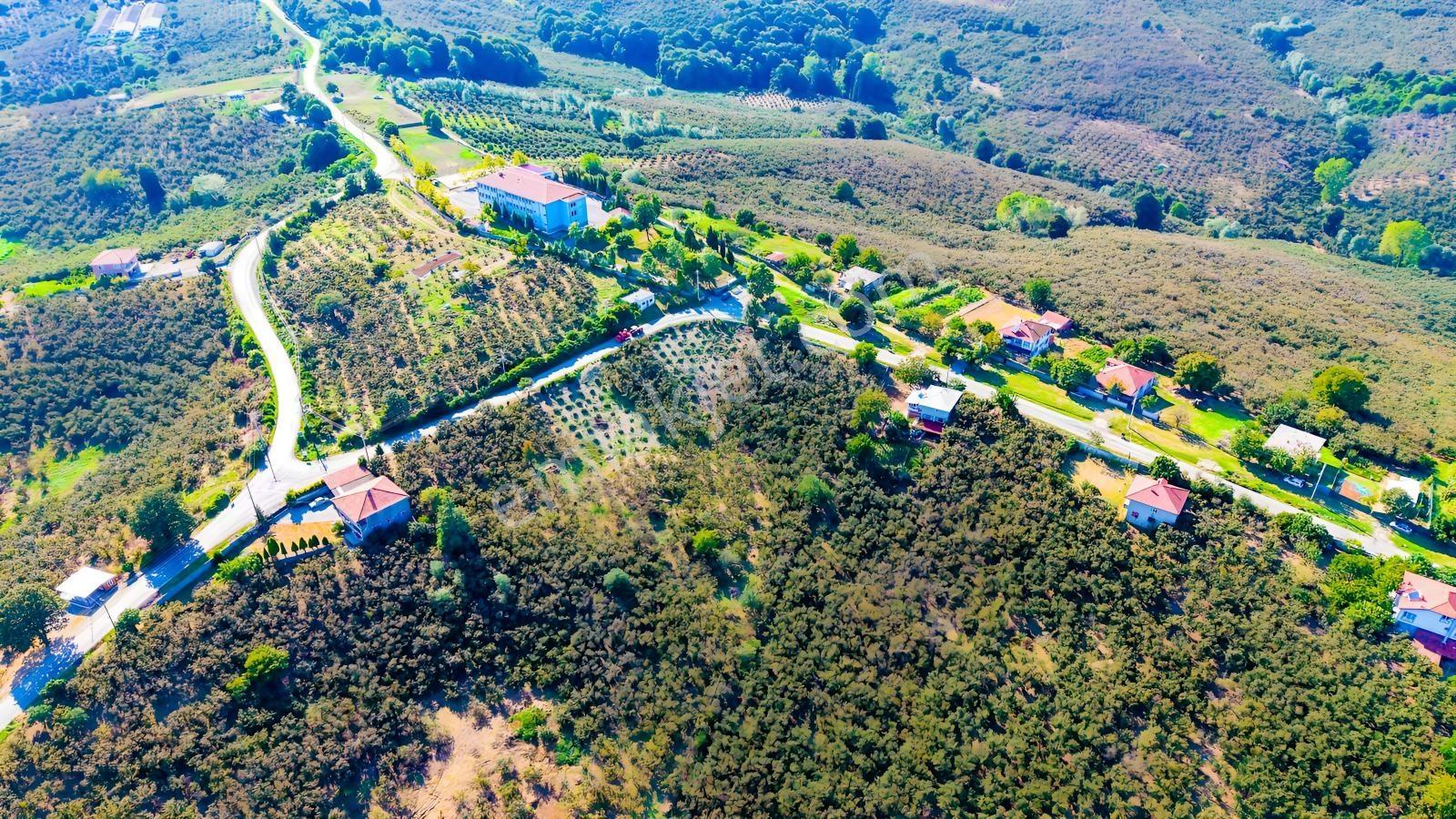 Yatırıma Ve Tam Zamanlı Yaşama Uygun Tek Tapu %40 İmarlı Arsa — fotoğraf 10