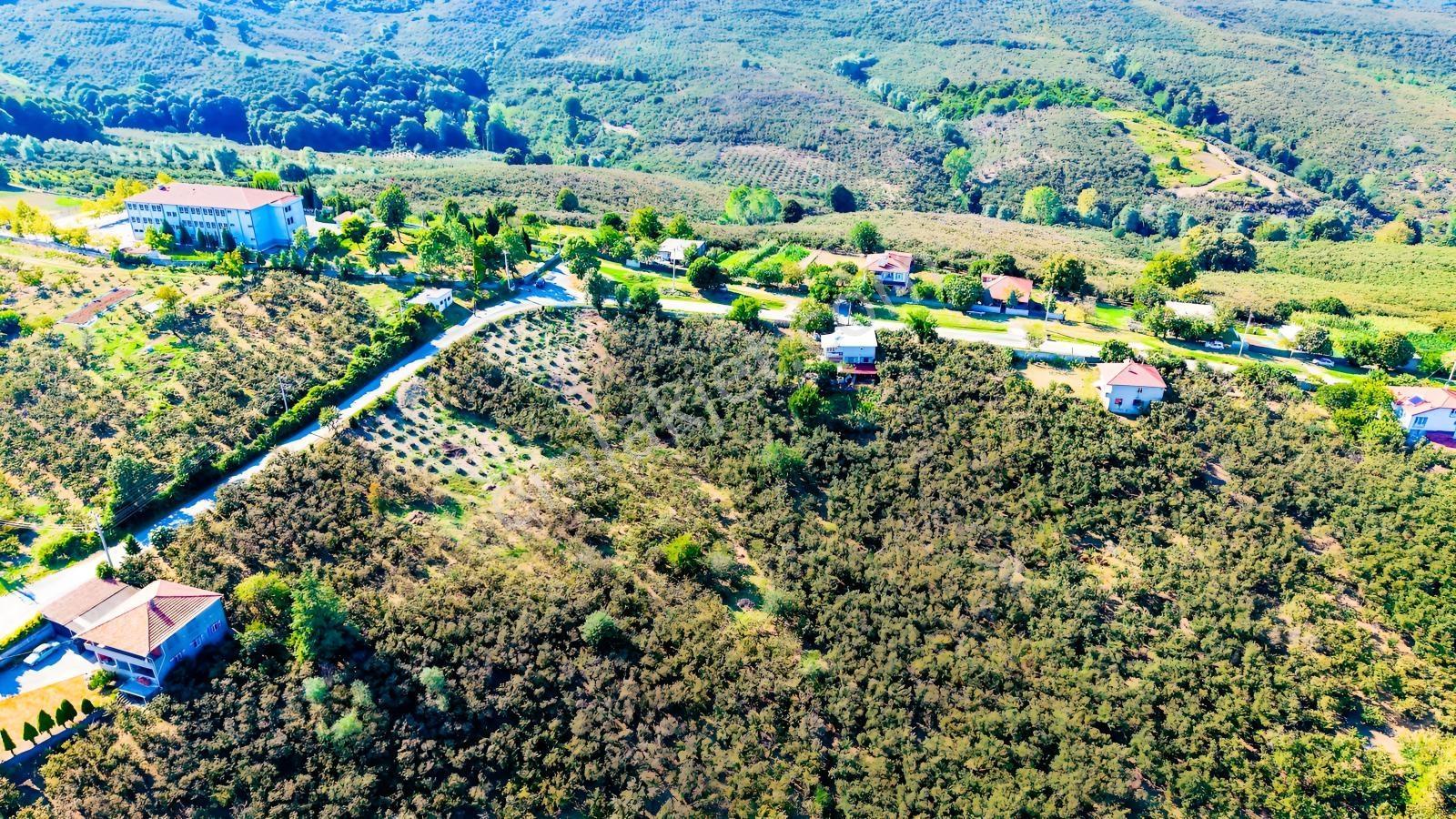 Yatırıma Ve Tam Zamanlı Yaşama Uygun Tek Tapu %40 İmarlı Arsa — fotoğraf 13