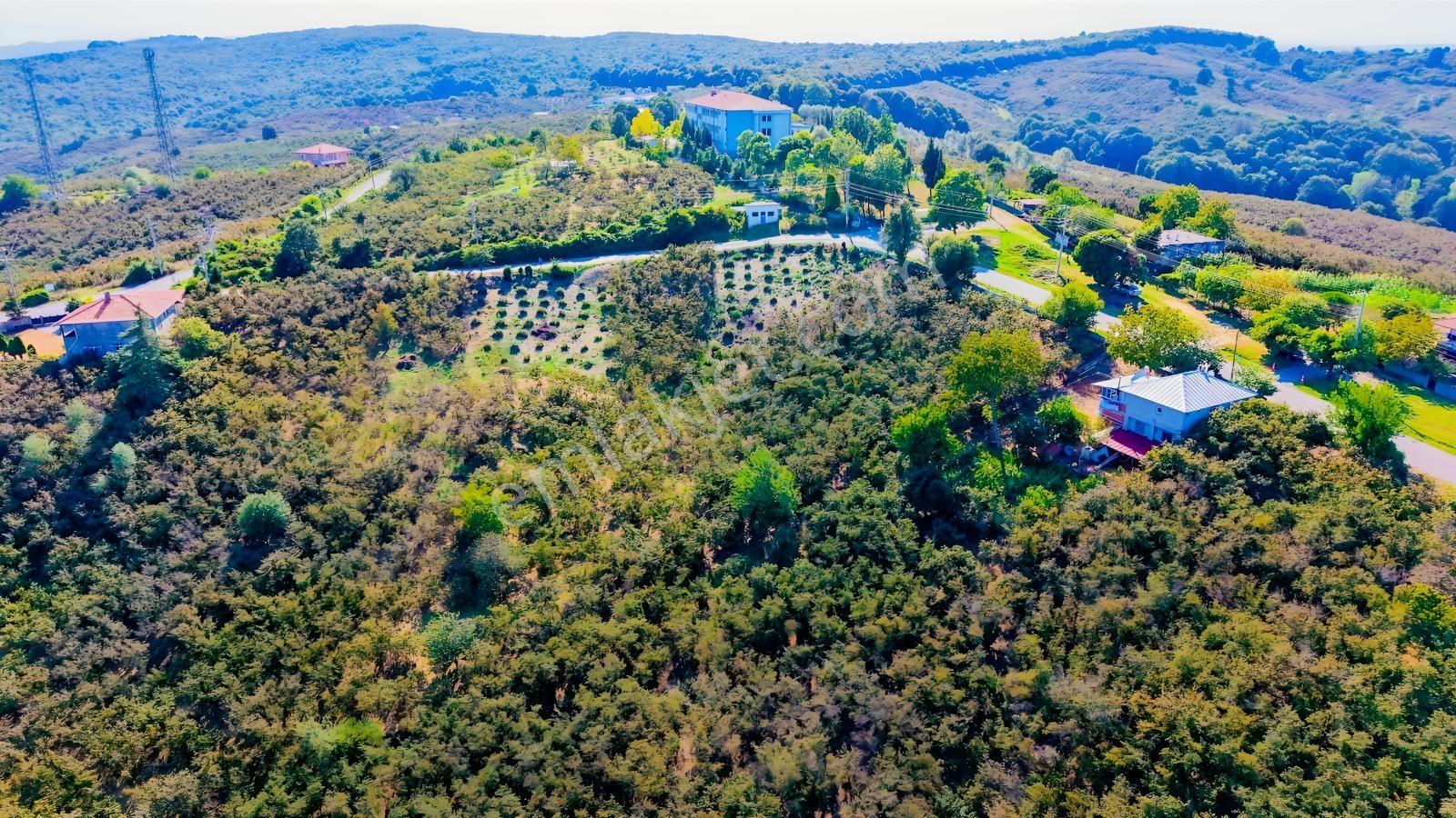 Yatırıma Ve Tam Zamanlı Yaşama Uygun Tek Tapu %40 İmarlı Arsa — fotoğraf 14