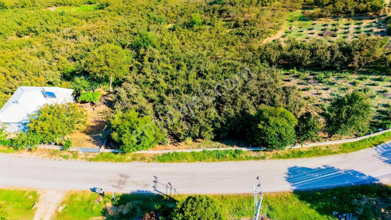 Yatırıma Ve Tam Zamanlı Yaşama Uygun Tek Tapu %40 İmarlı Arsa — fotoğraf 15