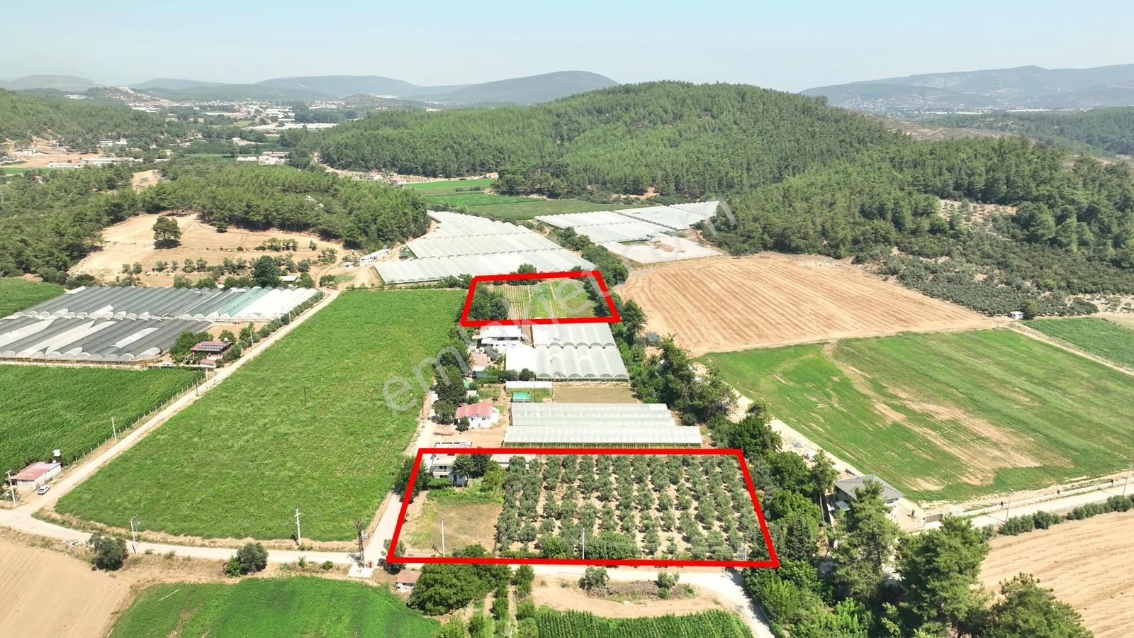 İçerisinde Müstakil Ev Bulunan 5 Dönümlük Verimli Arazi