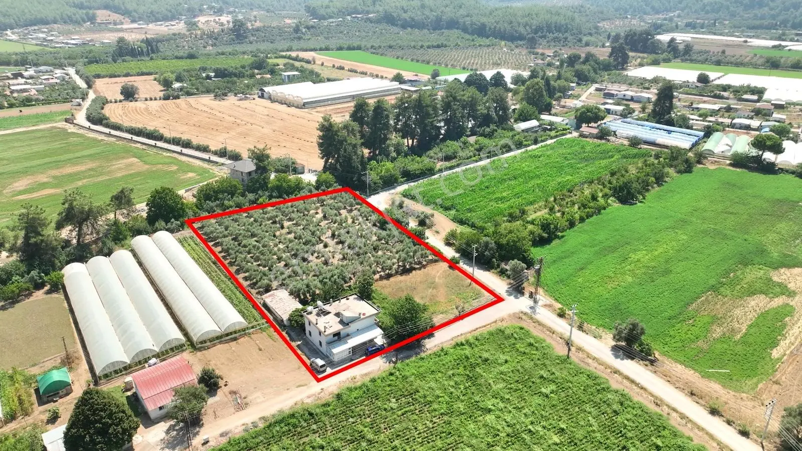 İçerisinde Müstakil Ev Bulunan 5 Dönümlük Verimli Arazi — fotoğraf 2