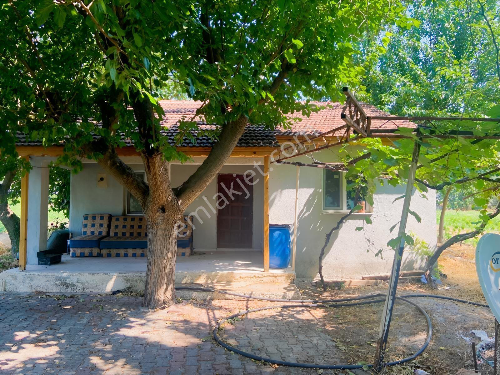 İçerisinde Müstakil Ev Bulunan 5 Dönümlük Verimli Arazi — fotoğraf 6