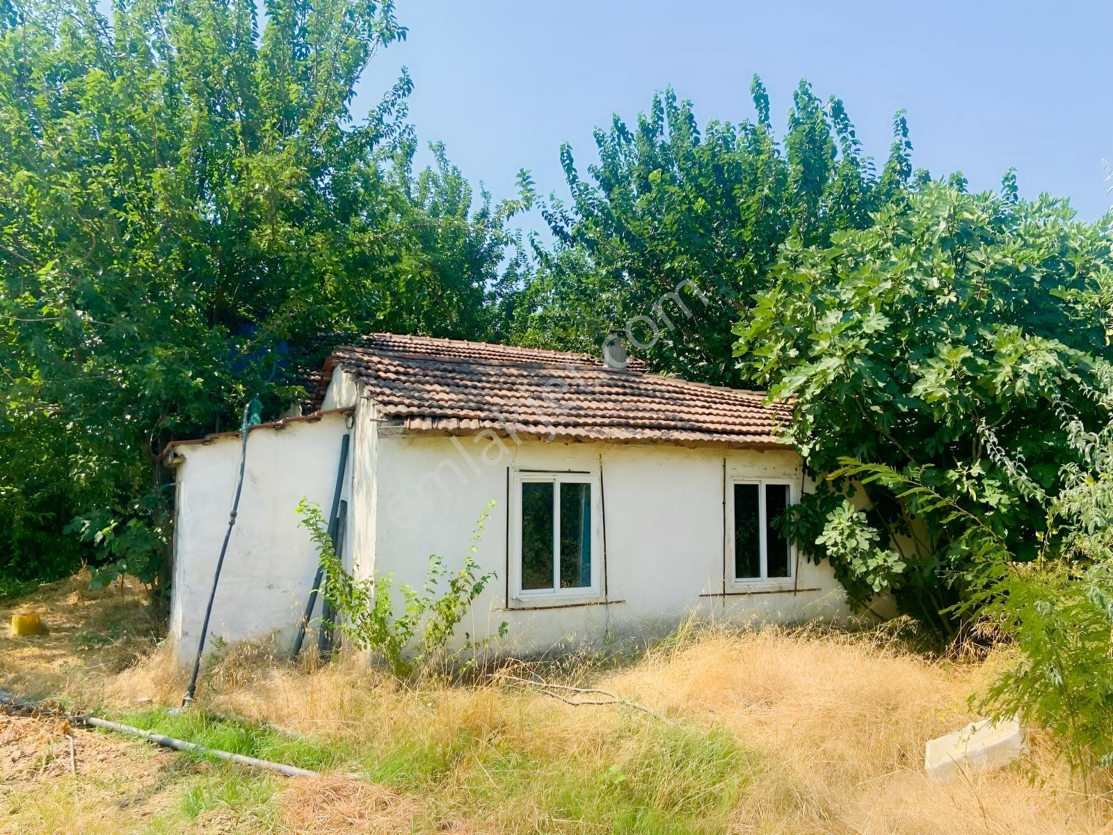 İçerisinde Müstakil Ev Bulunan 5 Dönümlük Verimli Arazi — fotoğraf 8