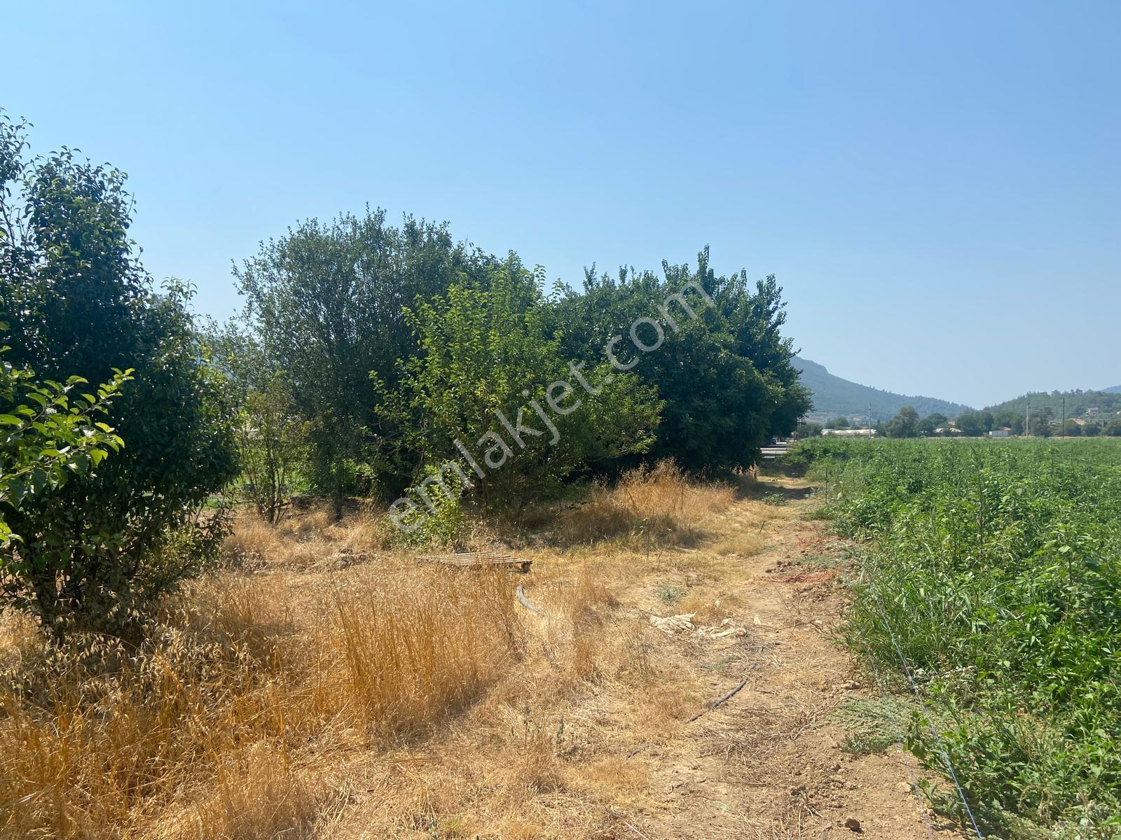 İçerisinde Müstakil Ev Bulunan 5 Dönümlük Verimli Arazi — fotoğraf 20
