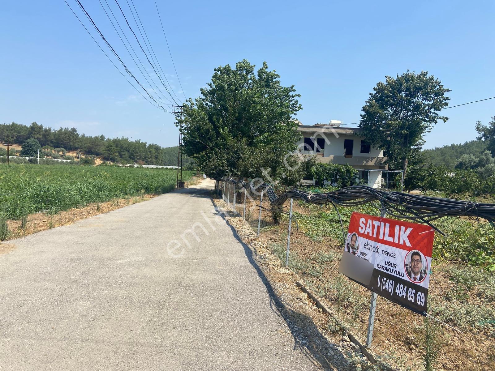 İçerisinde Müstakil Ev Bulunan 5 Dönümlük Verimli Arazi — fotoğraf 26