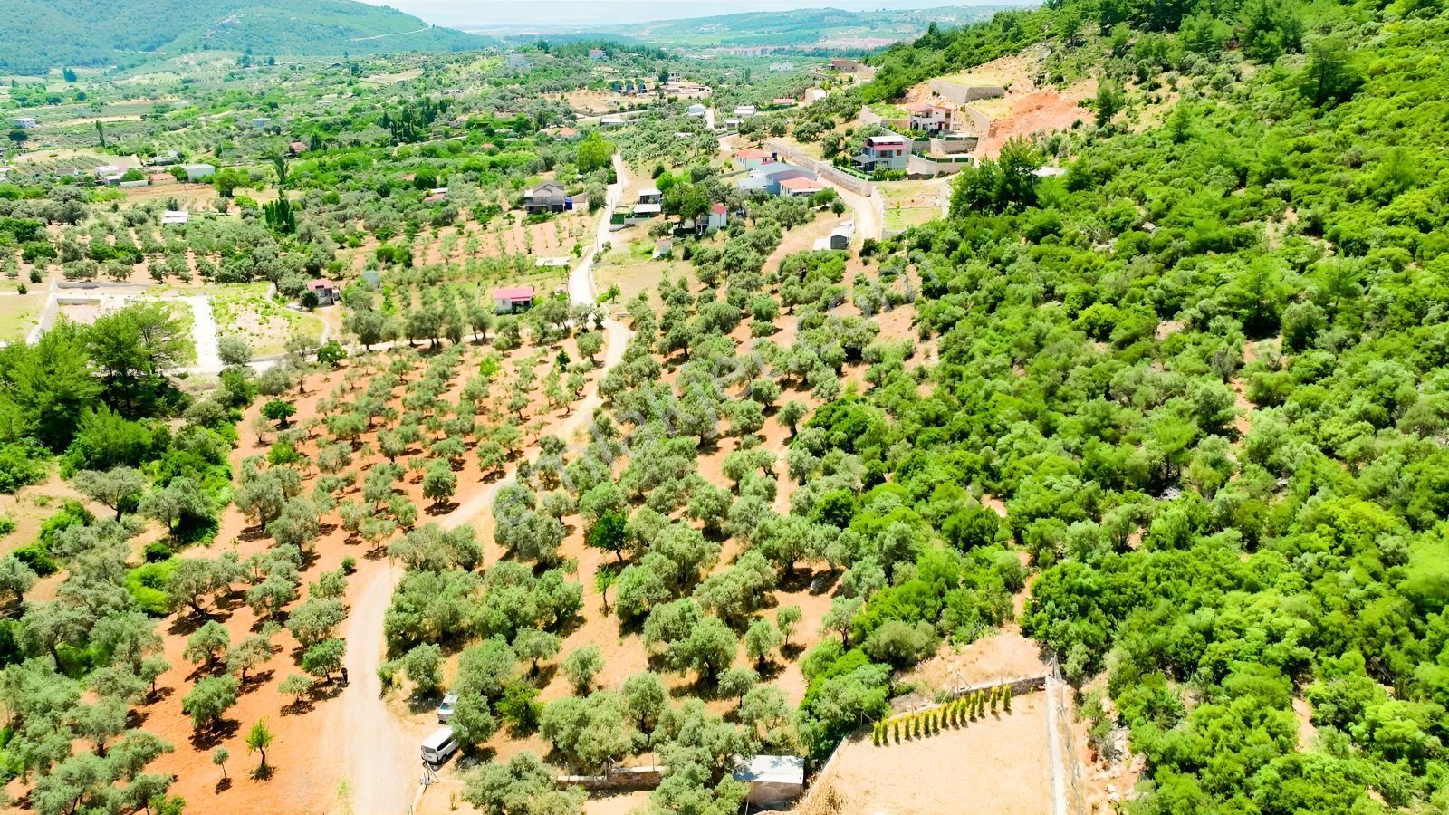 İzmir Buca Kırklarda 8.560 M² Alanlı, Yola 175 M Cepheli Arsa — fotoğraf 2