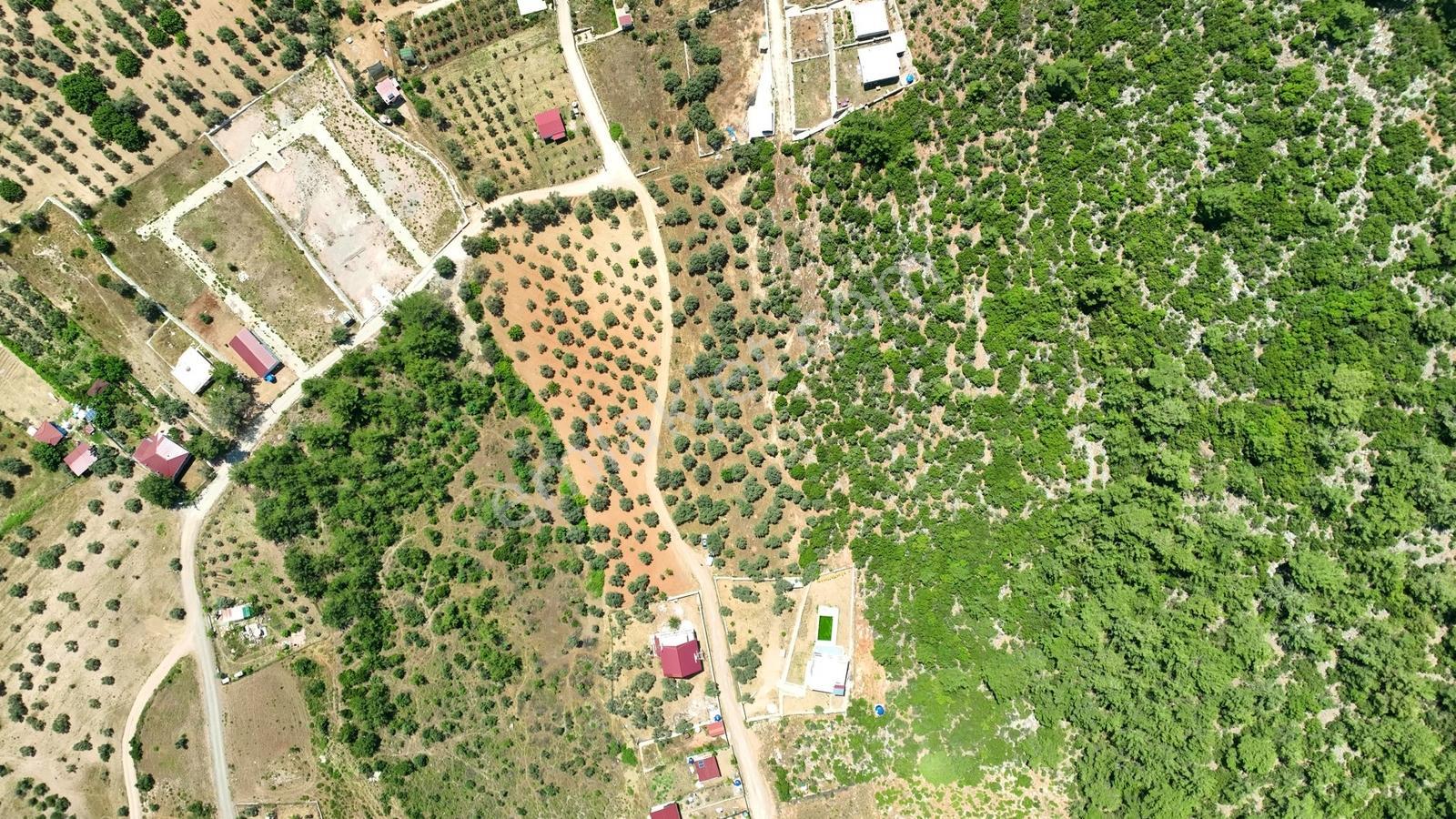 İzmir Buca Kırklarda 8.560 M² Alanlı, Yola 175 M Cepheli Arsa — fotoğraf 3