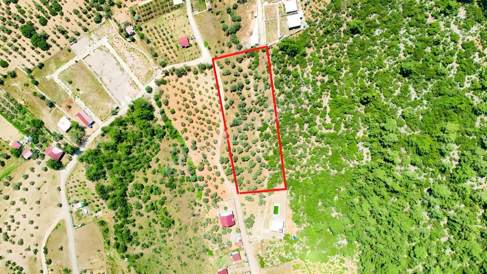 İzmir Buca Kırklarda 8.560 M² Alanlı, Yola 175 M Cepheli Arsa — fotoğraf 4