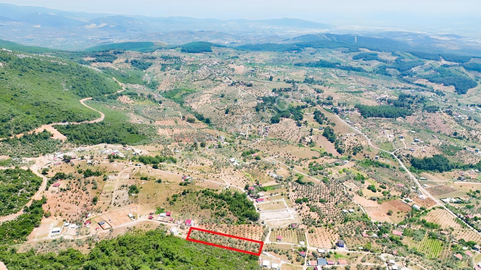 İzmir Buca Kırklarda 8.560 M² Alanlı, Yola 175 M Cepheli Arsa — fotoğraf 12