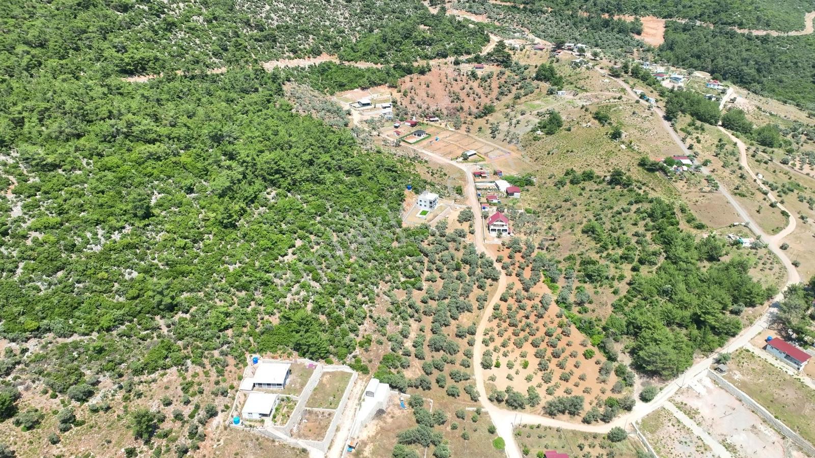 İzmir Buca Kırklarda 8.560 M² Alanlı, Yola 175 M Cepheli Arsa — fotoğraf 15
