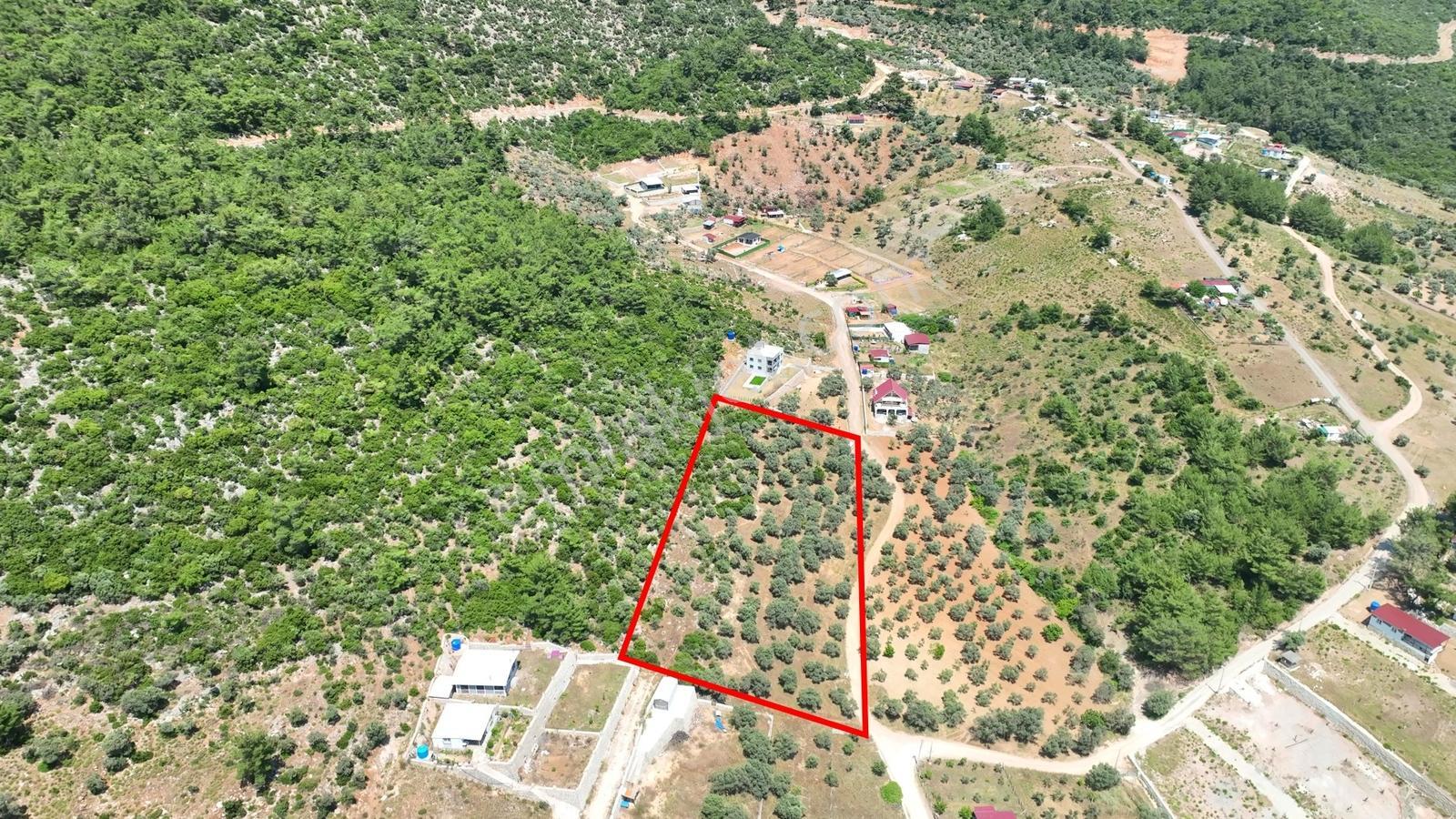 İzmir Buca Kırklarda 8.560 M² Alanlı, Yola 175 M Cepheli Arsa — fotoğraf 16