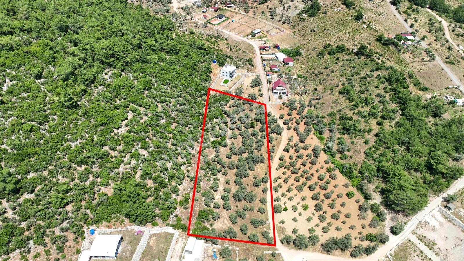 İzmir Buca Kırklarda 8.560 M² Alanlı, Yola 175 M Cepheli Arsa — fotoğraf 18