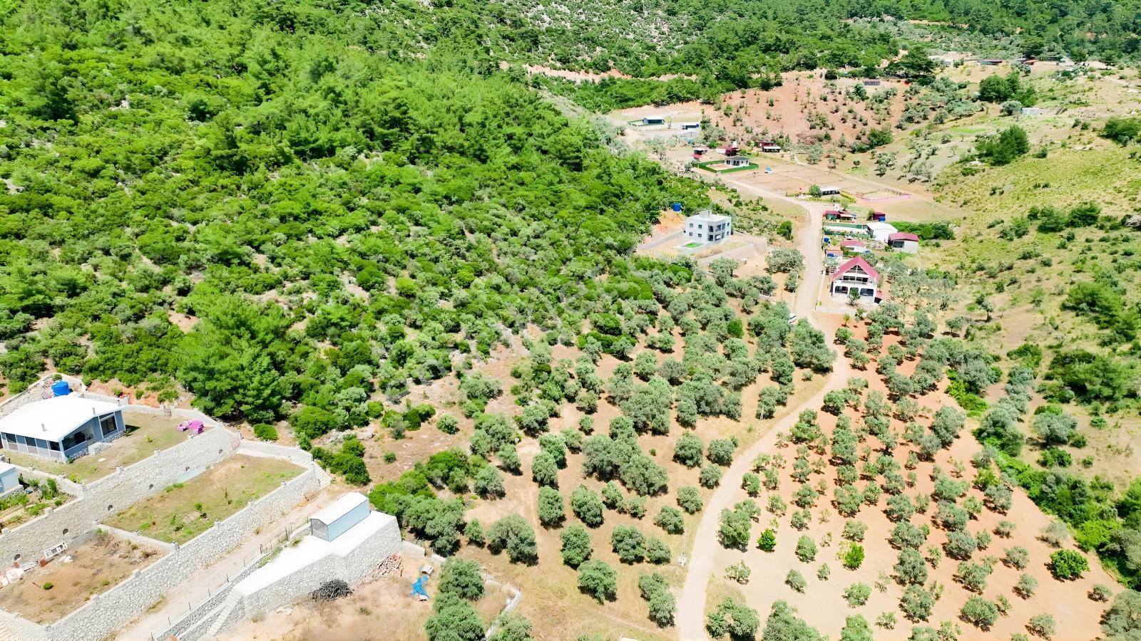 İzmir Buca Kırklarda 8.560 M² Alanlı, Yola 175 M Cepheli Arsa — fotoğraf 19